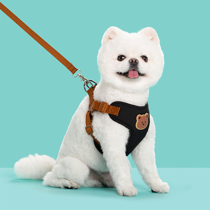 The Ultimate Pet Outing Leash Strap for Comfort and Security