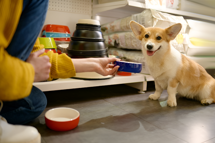 Essential Feeding Supplies for Everyday Care