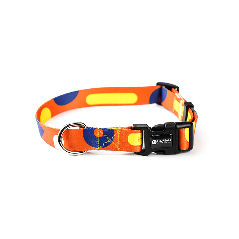 Adjustable Pet Collar And Leash Set For Secure Walking