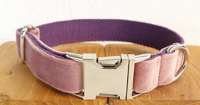 Pet Collar And Leash Set For Everyday Walking