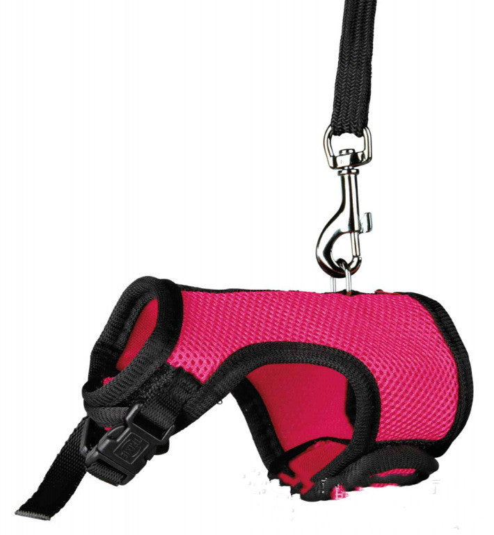 Compact Pet Leash For Secure And Comfortable Daily Walking