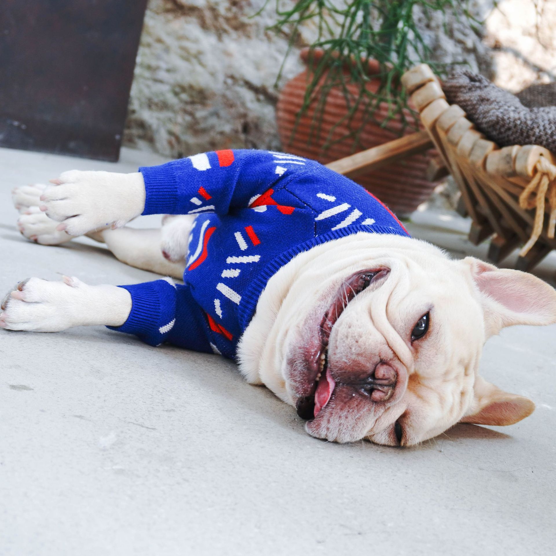 Comfortable Pet Sweater Clothing For Everyday Wear