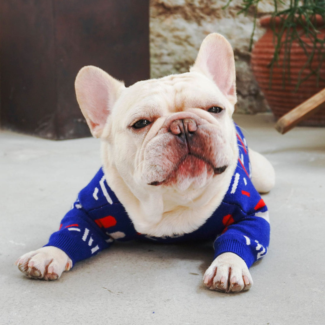 Comfortable Pet Sweater Clothing For Everyday Wear