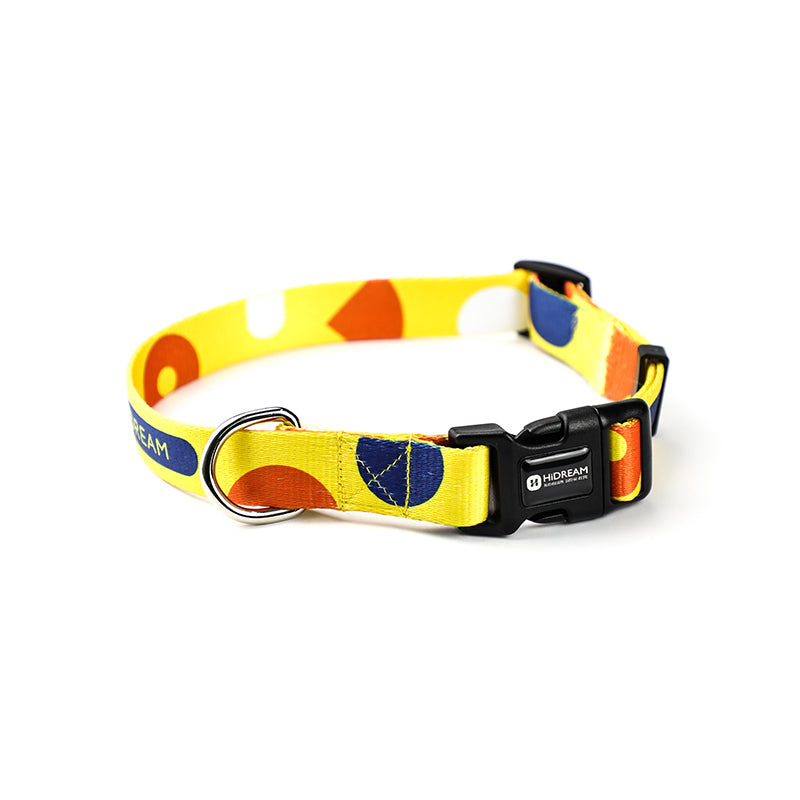 Adjustable Pet Collar And Leash Set For Secure Walking