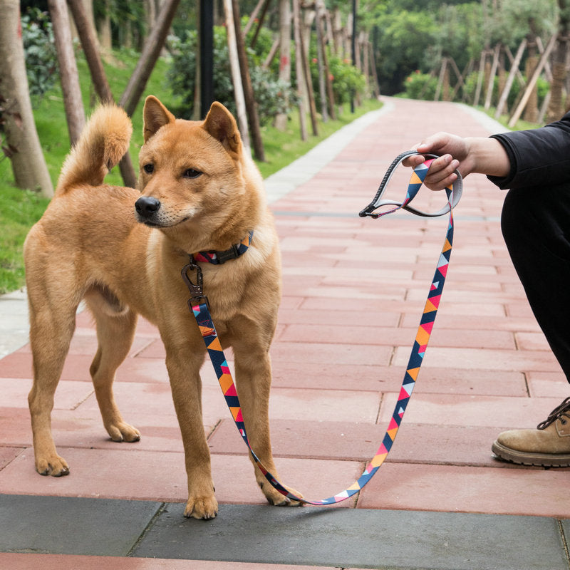 Durable Pet Leash For Secure And Comfortable Daily Walking