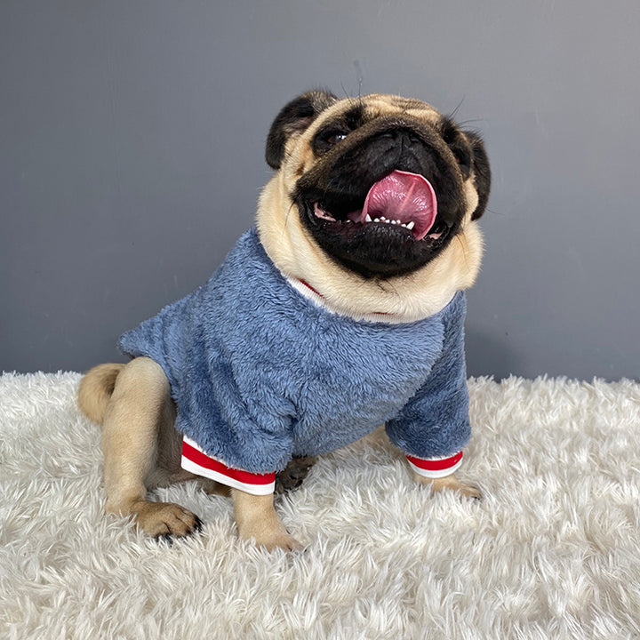 Warm Comfortable Pet Sweater For Everyday Wear