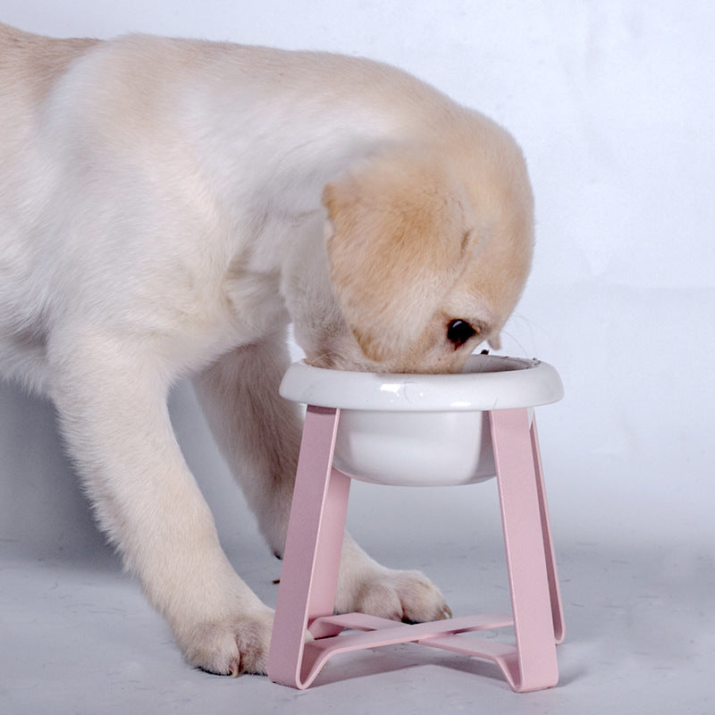 2 In 1 Pet Feeding Bowl With Iron Stand And Antislip Design
