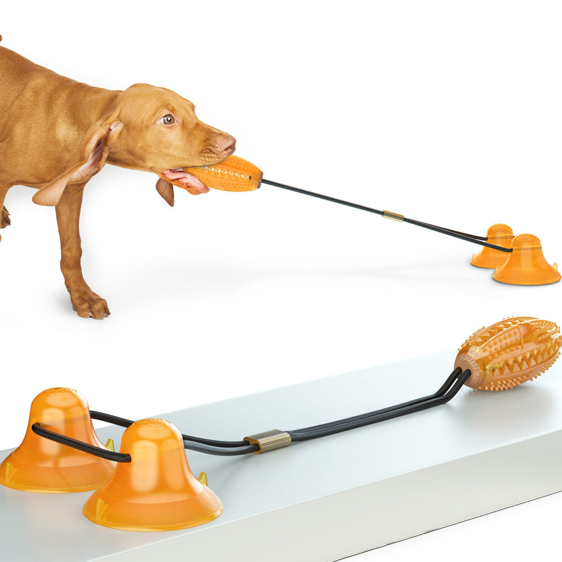Multifunction Pet Tug Rope Ball Toy With Strong Suction Base