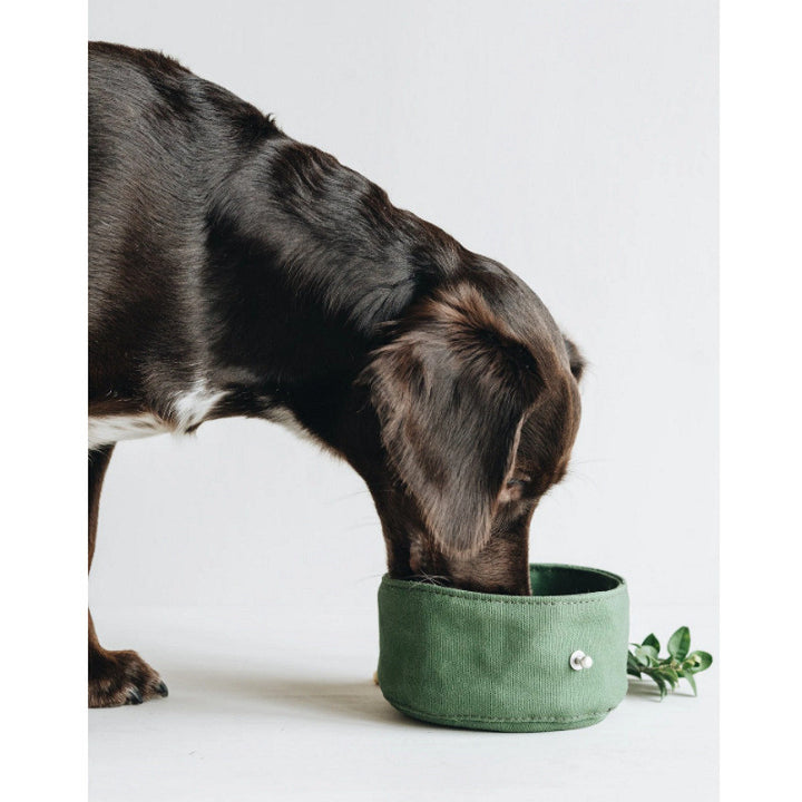 Portable Folding Pet Bowl With Canvas Design For Travel