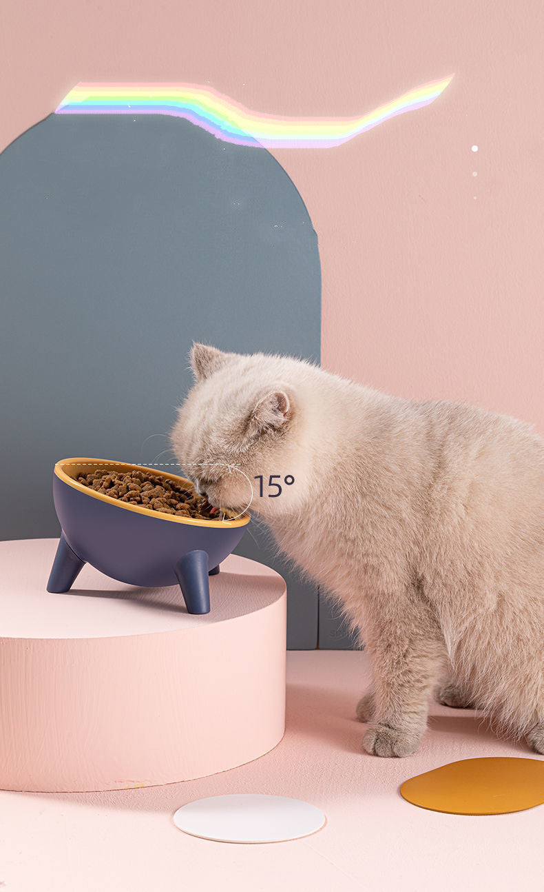 Pet Feeding Bowl With Stand In Nordic Style Design