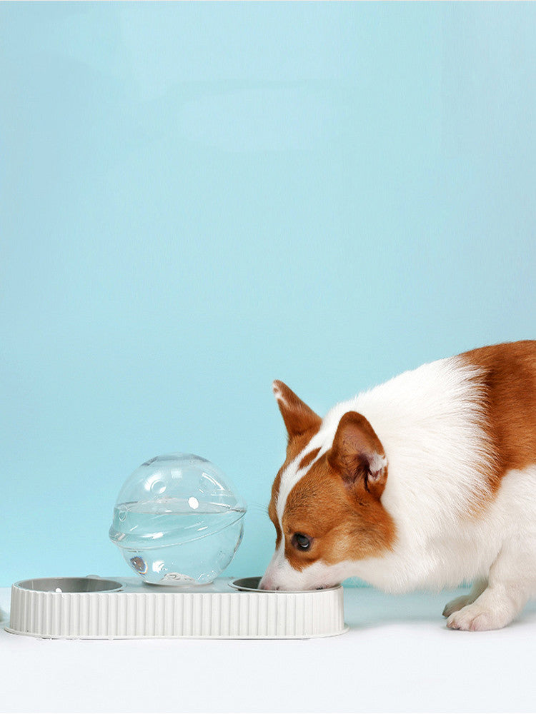 Automatic Pet Water And Feeding Bowl Dispenser Set