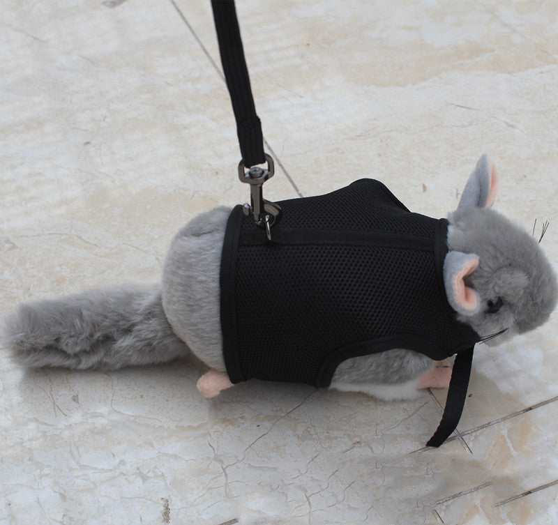 Compact Pet Leash For Secure And Comfortable Daily Walking