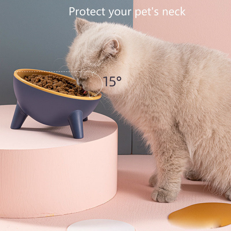Pet Feeding Bowl With Stand In Nordic Style Design