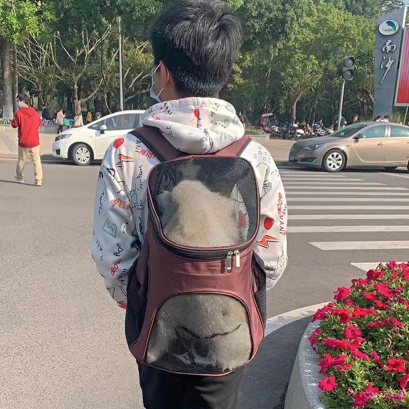 Breathable Portable Pet Carrier Backpack Bag For Outdoor Travel