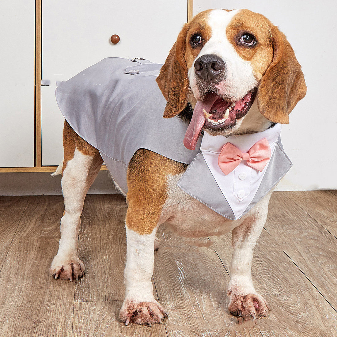 Formal Swallowtail Pet Suit Jacket For Special Occasions