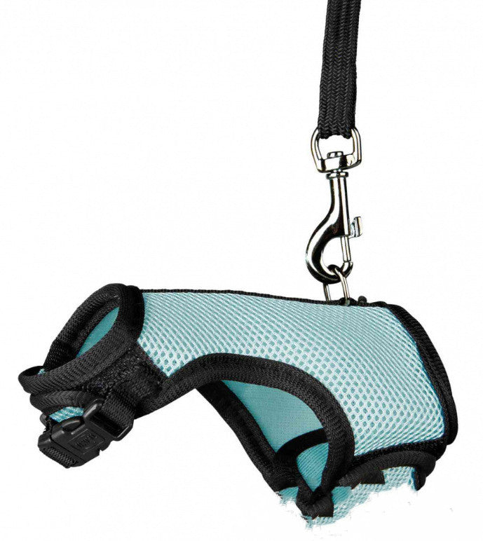 Compact Pet Leash For Secure And Comfortable Daily Walking