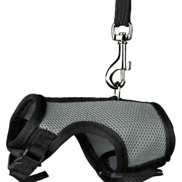Compact Pet Leash For Secure And Comfortable Daily Walking