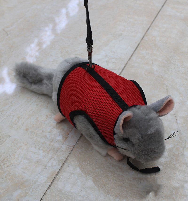 Compact Pet Leash For Secure And Comfortable Daily Walking