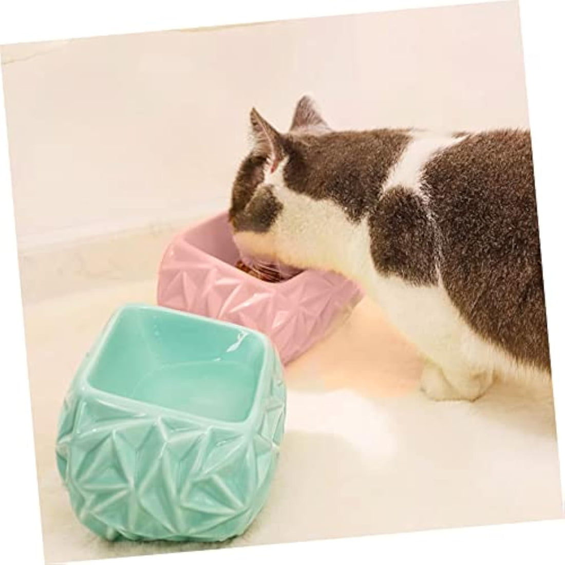 Ceramic Pet Feeding Bowl With Cute Design For Food And Water