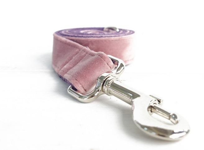 Pet Collar And Leash Set For Everyday Walking
