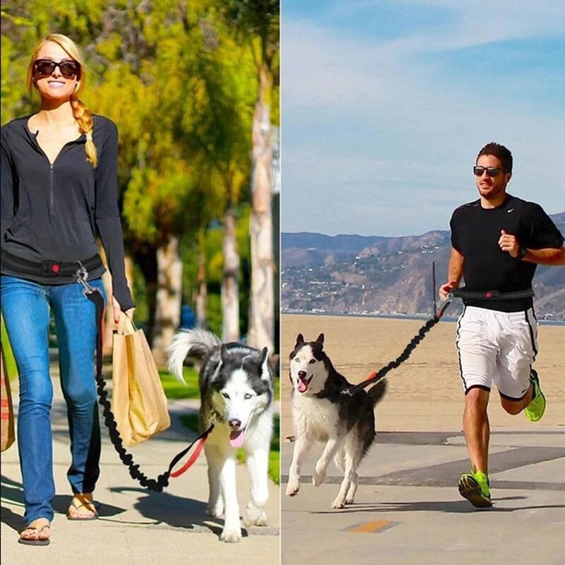 Adjustable Pet Harness Collar And Leash Set For Jogging