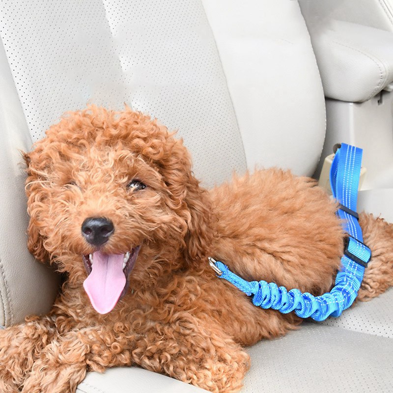 Elastic Pet Car Seat Belt Traction Rope