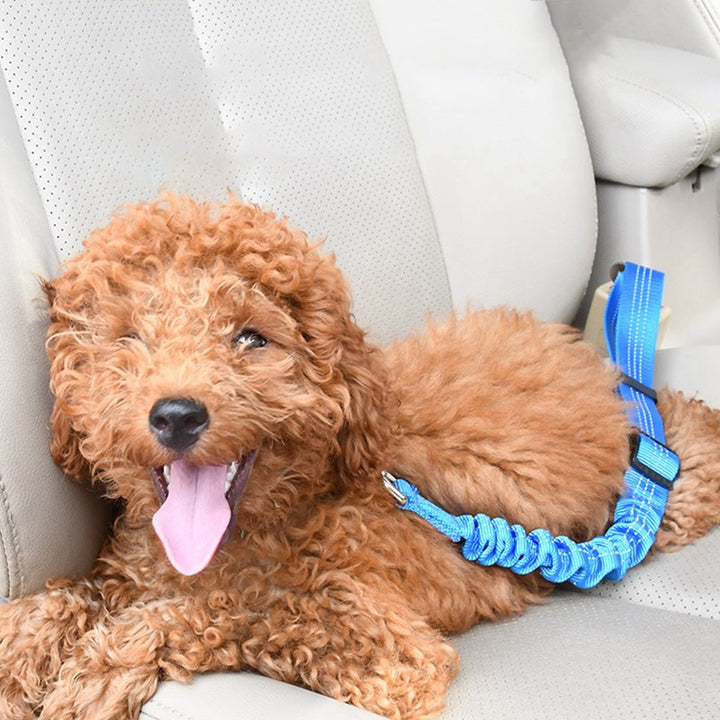 Elastic Pet Car Seat Belt Traction Rope