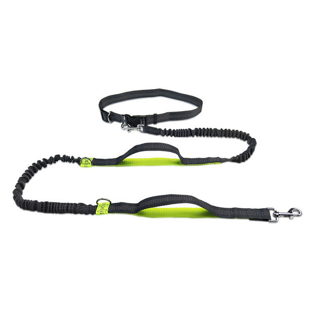 Adjustable Pet Harness Collar And Leash Set For Jogging