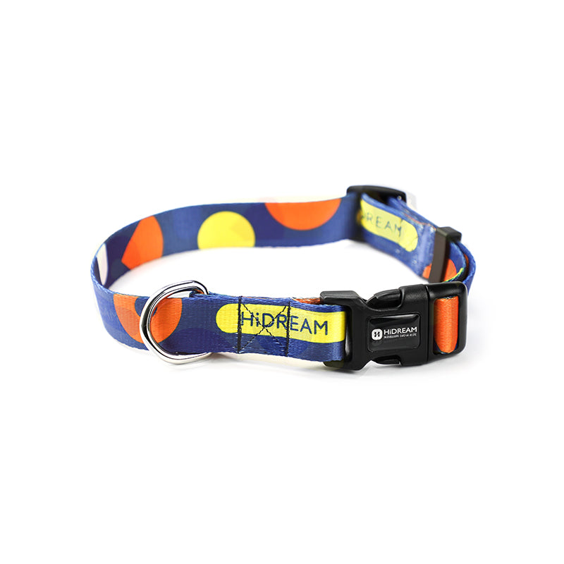 Adjustable Pet Collar And Leash Set For Secure Walking