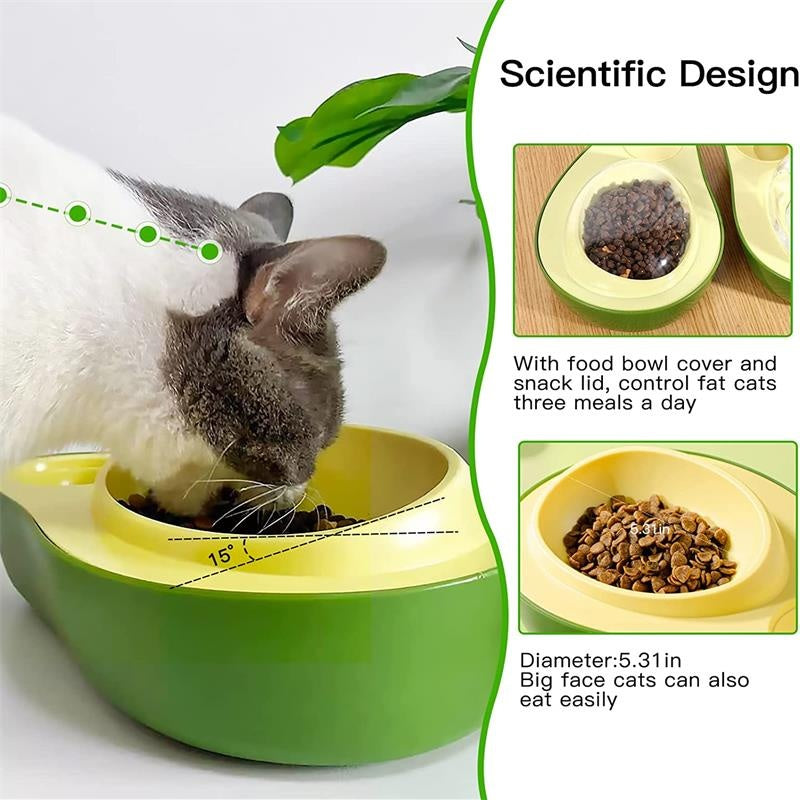 Automatic Pet Water Bottle And Slow Feeding Bowl Set