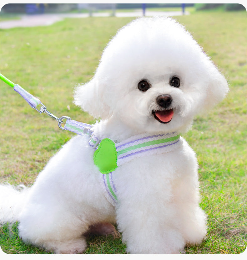 Summer Breathable Pet Chest Vest Harness With Walking Leash