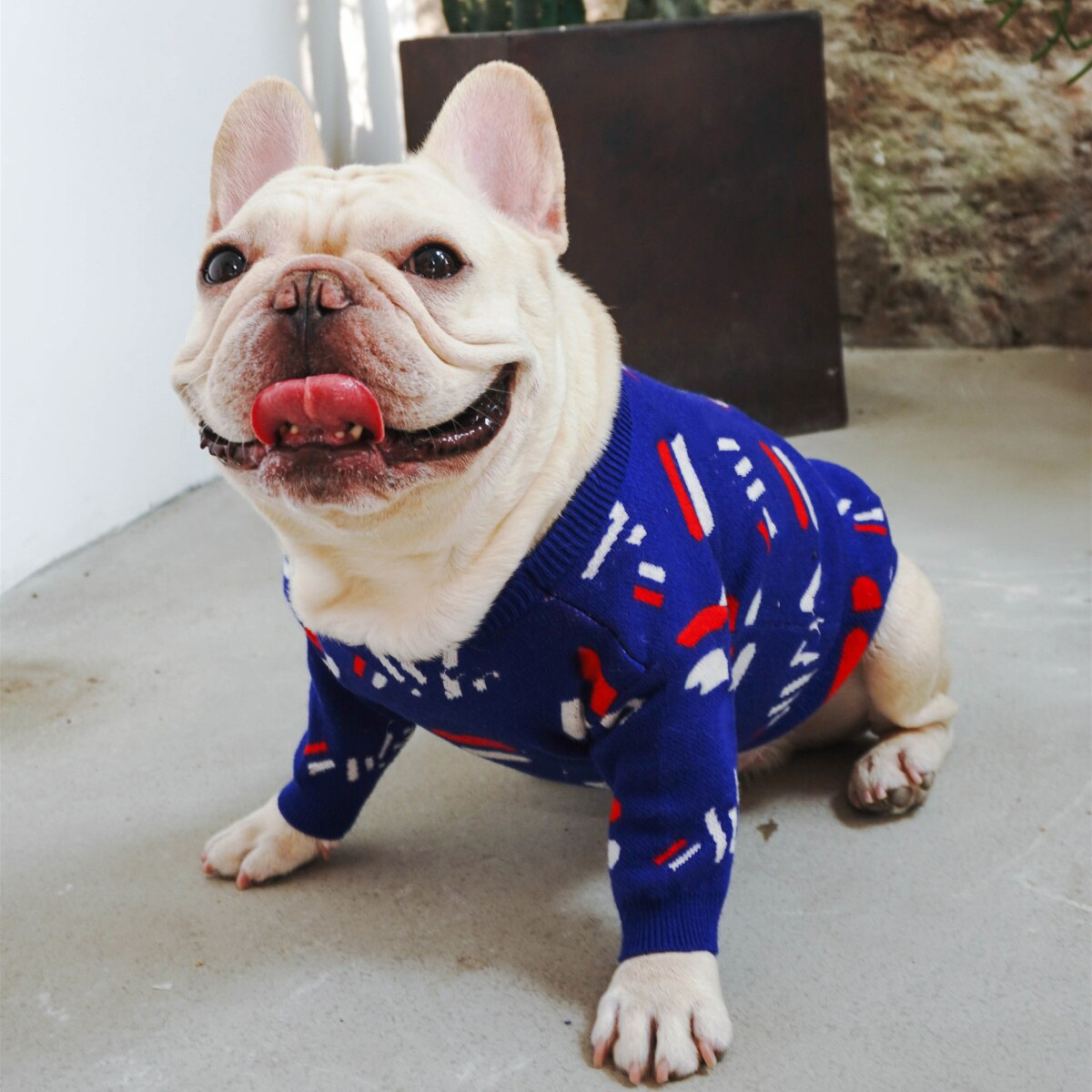 Comfortable Pet Sweater Clothing For Everyday Wear