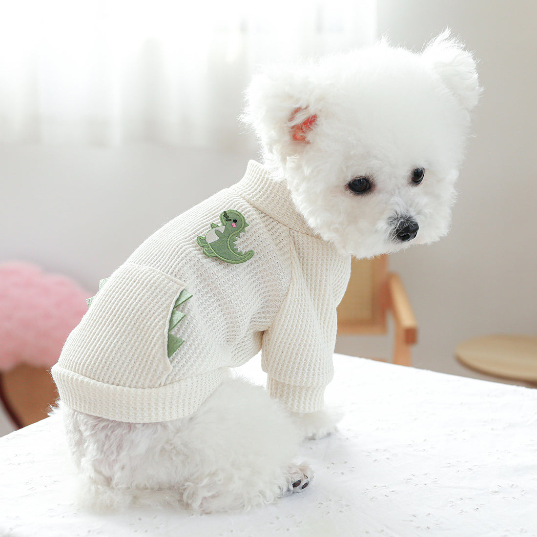 Casual Pet Sweater Round-Neck Knit Shirt