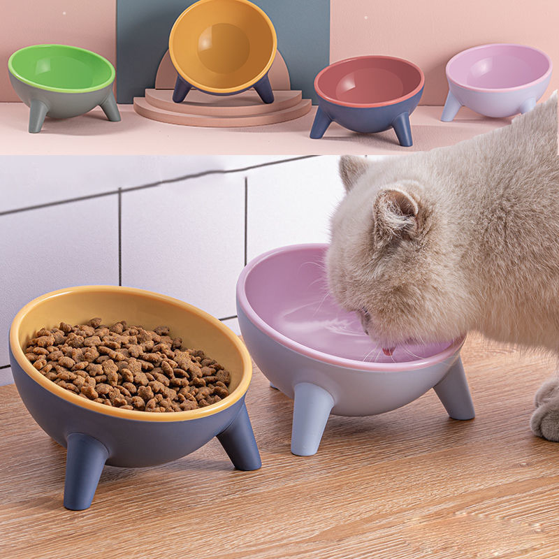 Pet Feeding Bowl With Stand In Nordic Style Design