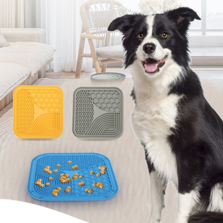 Anti Choke Pet Slow Feeding Bowl With Licking Pad