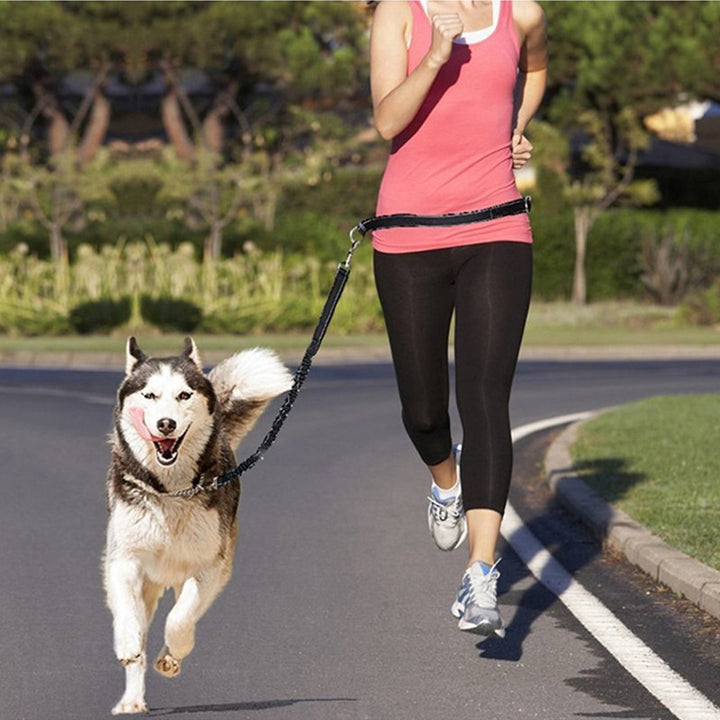 Adjustable Pet Harness Collar And Leash Set For Jogging