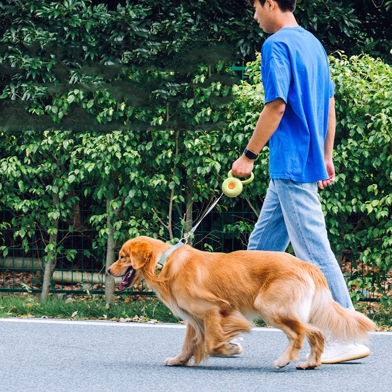 Retractable Pet Leash With Reflective Rope For Safe Walking