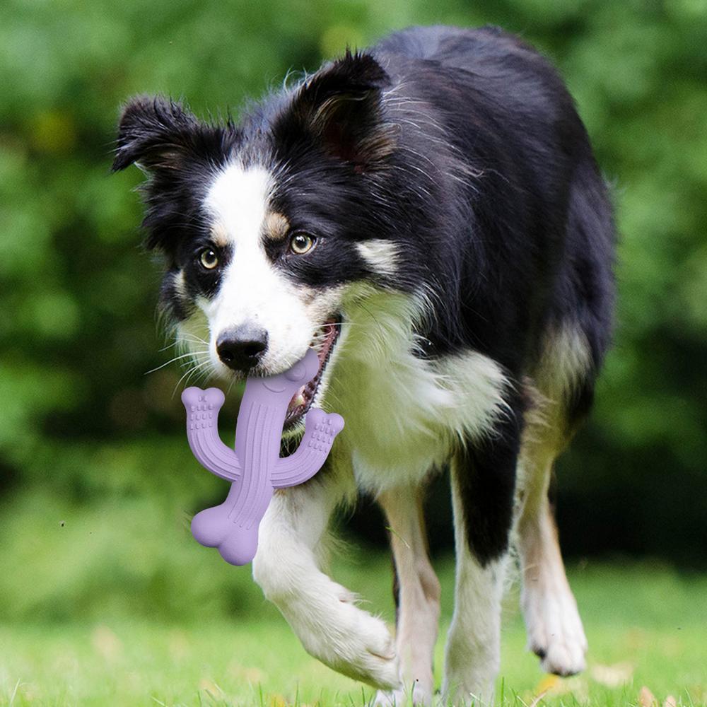 Ultra Durable Cactus Pet Chew Toy For Interactive Play