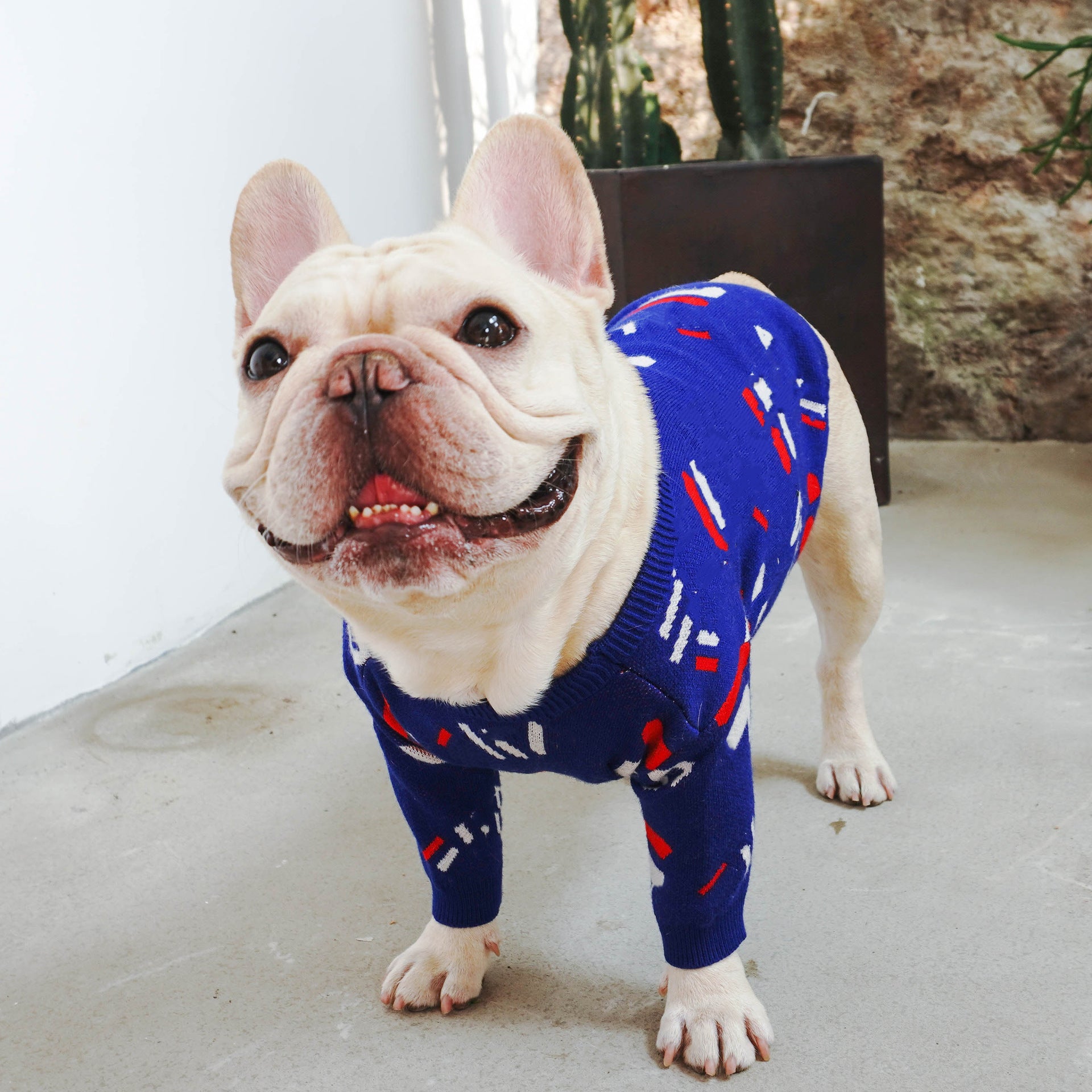 Comfortable Pet Sweater Clothing For Everyday Wear