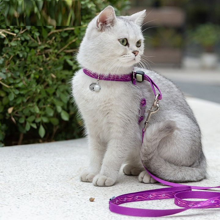 Pet Bell Chest Strap Harness Vest With Durable Leash Set
