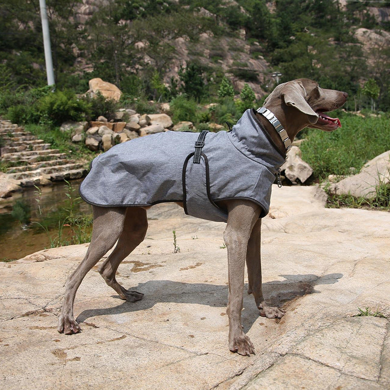 Winter Outdoor Pet Shell Jacket Suit For Warm Protection
