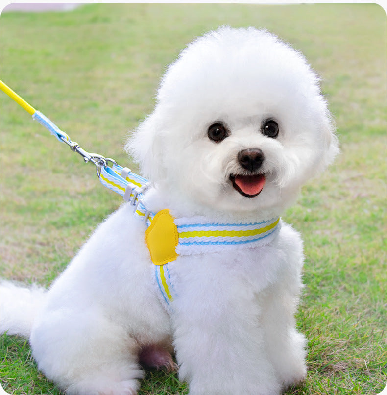 Summer Breathable Pet Chest Vest Harness With Walking Leash