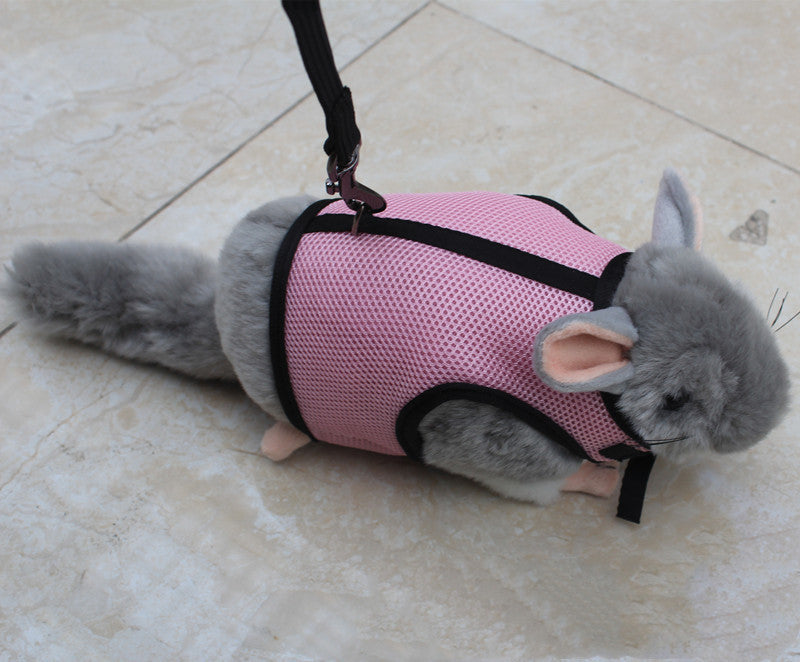 Compact Pet Leash For Secure And Comfortable Daily Walking