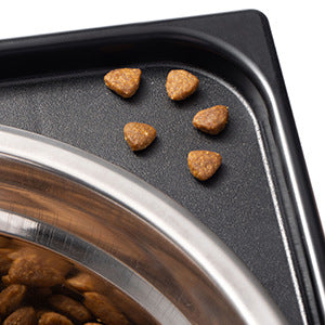 Pet Elevated Feeding Bowl Neck Protection Anti-Tip Medium Large