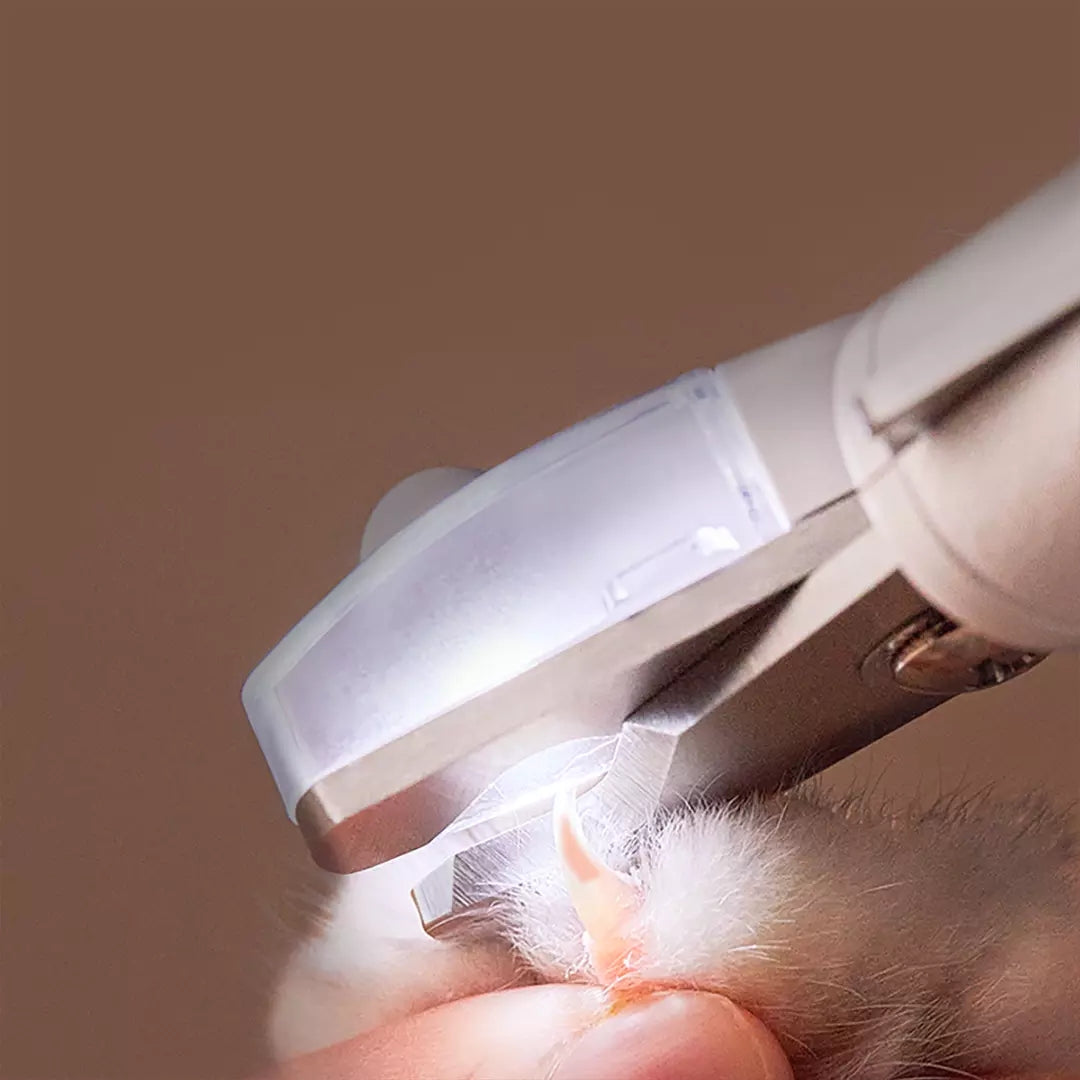 Professional Pet Nail Clipper Scissors With LED Light Trimmer