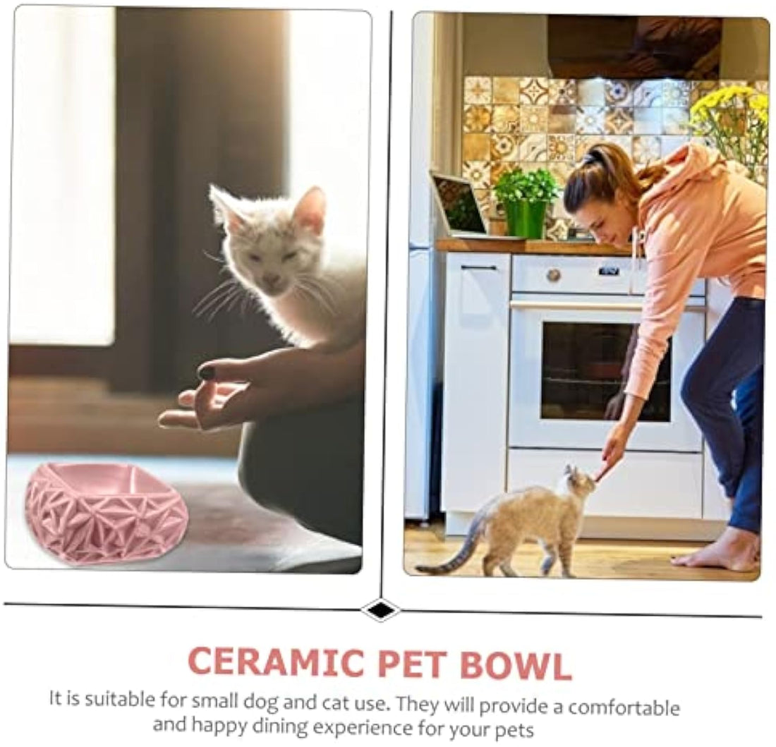 Ceramic Pet Feeding Bowl With Cute Design For Food And Water