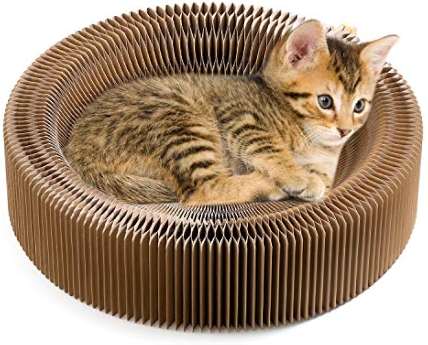 Collapsible Cardboard Pet Scratcher Lounge Bed Round Nest