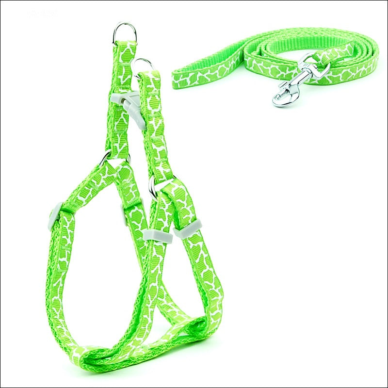 Pet Chest Strap Harness And Leash Set For Daily Walking