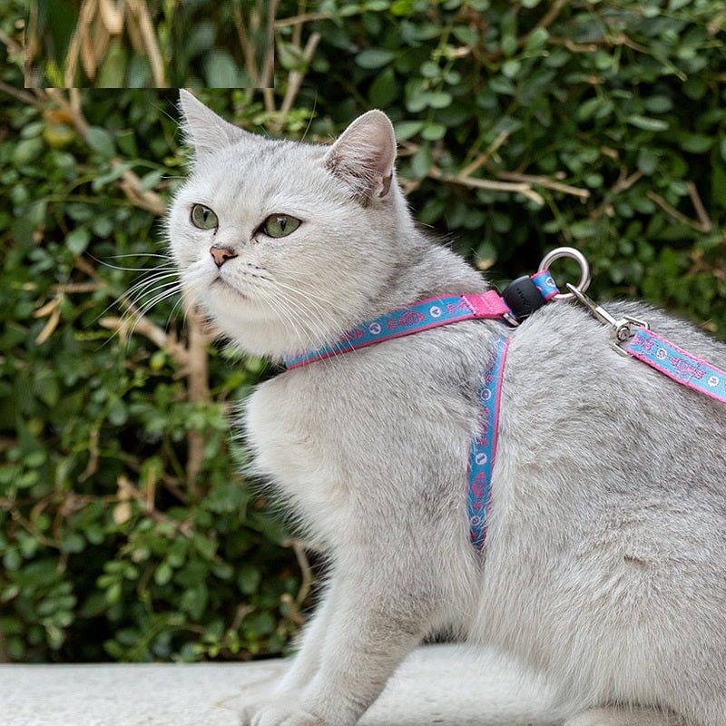 Pet Bell Chest Strap Harness Vest With Durable Leash Set