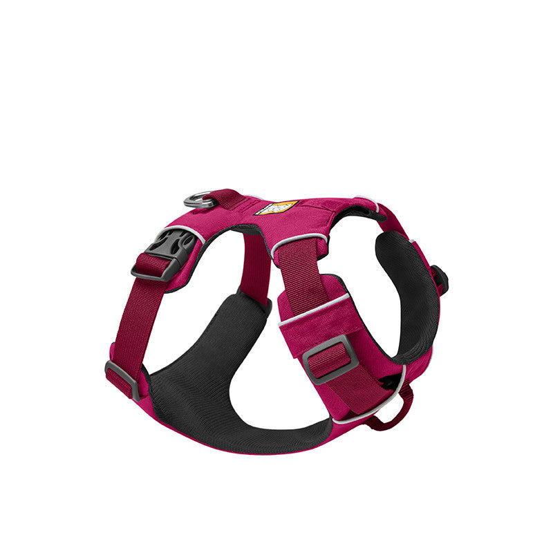 Chest Back Pet Harness And Leash Set For Walking
